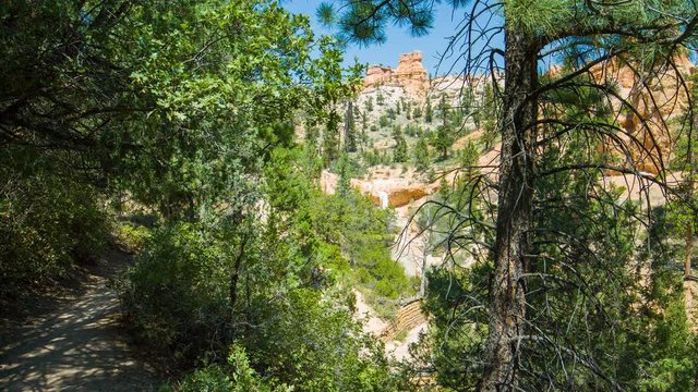 Green pine-trees on rock slopes. Spectacular view at the cliffs and cloud sky. Amazing mountain landscape. Bryce Canyon National Park. Utah. USA. 4K, 3840*2160, high bit rate, UHD