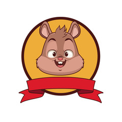 Squirrel head cartoon icon vector illustration graphic design