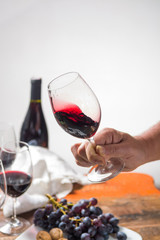 Professional red wine tasting event with high quality wine glasses and wine accessories