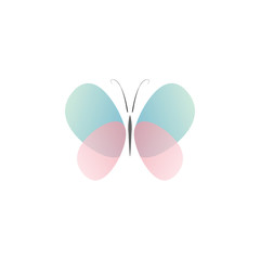 Abstract butterfly with transparent color vector