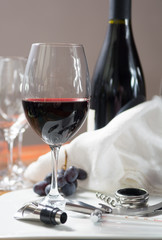 Professional red wine tasting event with high quality wine glasses and wine accessories