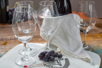 Professional red wine tasting event with high quality wine glasses and wine accessories