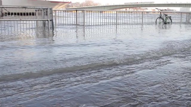 COLOGNE, GERMANY - JANUARY 27, 2018 -   Flood in Cologne on the Rhine