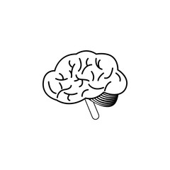 the human brain icon. Medecine Element for mobile concept and web apps. Thin line  icon for website design and development, app development. Premium icon
