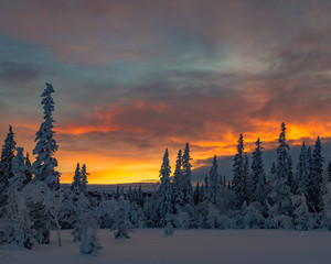 Orange glowing sunset above winter forest
