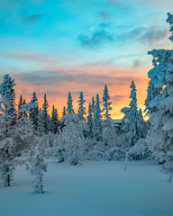 Dreamy winter landscape sunset in Sweden