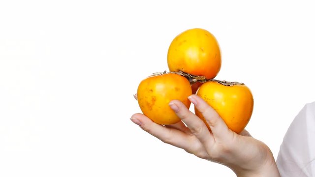 Female hand holding persimmon kaki fruits, isolated on white, text area copy space. Healthy eating, aid in weight loss, improve digestion.