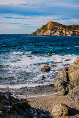Sur les Iles du Gaou à Six-Fours-les-Plages, le Brusc