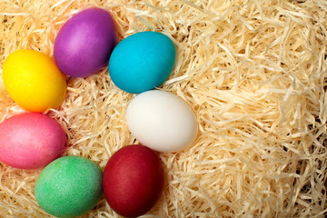 Fototapeta na wymiar Colorful easter eggs ordered in circle.With bordo feather.Colored chicken eggs with white feather.On hay background.Easter background. Top view
