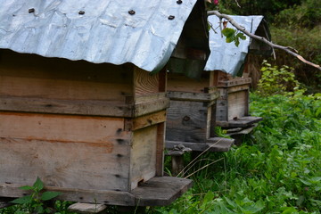 Bienenstöcke mit Wellblechdach