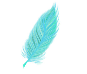 Colorful hand drawn bright blue design feather on white background, cartoon isolated illustration painted by pen and pencil paper chalk, high quality