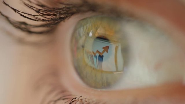 Macro close up unrecognizable female looking at charts on computer screen