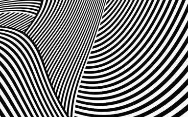 Zebra Design Black and White Stripes Vector