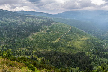 Beautiful view from mountains to the green valley with trees and forest