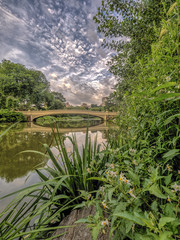 Bow bridge Central Park