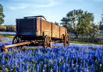 Gordijnen Texas Hill Country © John Anderson