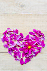 top view of flower heart shape made of petals and single opening flower head of cosmos plant flat lay on wooden background