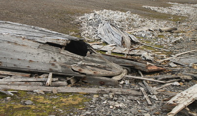 the remains of the old Whailing boats and lots of Whale bones scattered along the shore line.
