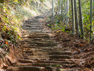 Rocky steps in forest， ancient flagstone road in Wuyuan, China.