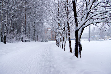pathway after snowfall