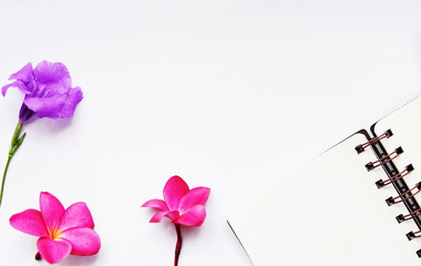 Notebook and pink plumeria flower isolated over white background with copy space.