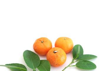Mandarin oranges with leaves isolated over white background.Flat lay concept with copy space.Orange fruits isolated.