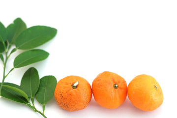 Mandarin oranges with leaves isolated over white background.Flat lay concept with copy space.Orange fruits isolated.