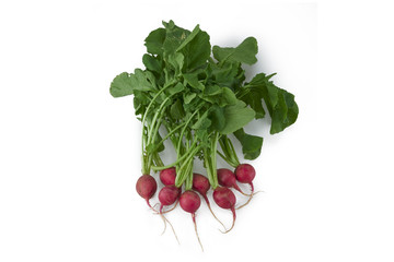 Red Radish Vegetable