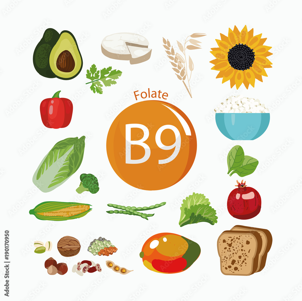 Wall mural Vitamin B9 (folate).