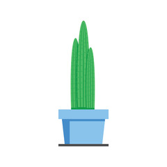 cactus plant illustration