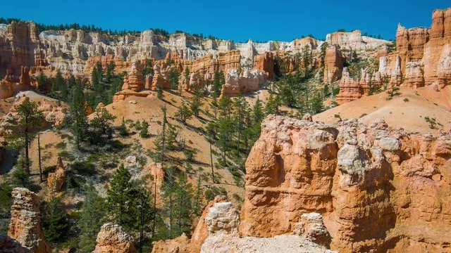 Green pine-trees on rock slopes. Spectacular view at the cliffs and cloud sky. Amazing mountain landscape. Bryce Canyon National Park. Utah. USA. 4K, 3840*2160, high bit rate, UHD