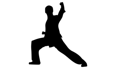 Fototapeta na wymiar silhouette of karate hit with right hand