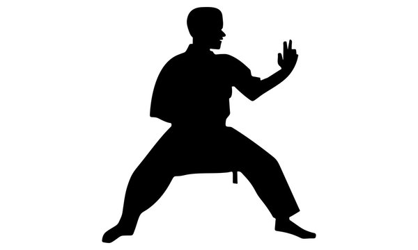 silhouette of karate is in front of opponentg