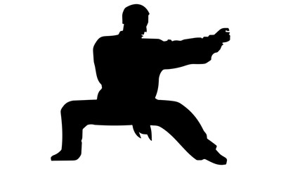 silhouette of martial arts