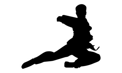 Fototapeta na wymiar silhouette of the art of martial arts movement