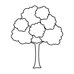 tree plant isolated icon vector illustration design