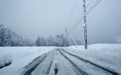 雪で真っ白な道路