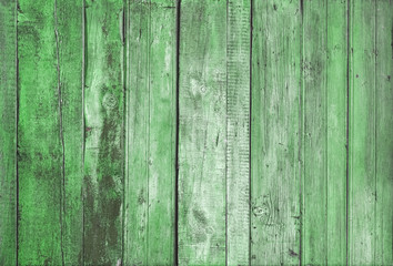 green wooden wall