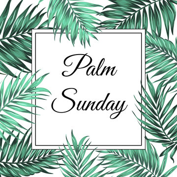 Palm Sunday Christian feast holiday. Tropical jungle tree palm green leaves border frame template. Square rectangle shape. Text placeholder. White background. Vector design illustration.