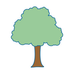 tree plant isolated icon vector illustration design