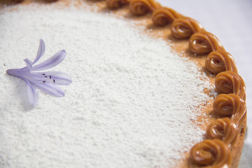 Vanilla cake withe powdered sugar and milk cream