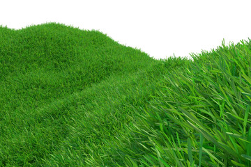 Green meadow in mountain. Composition of nature. 3d rendering.