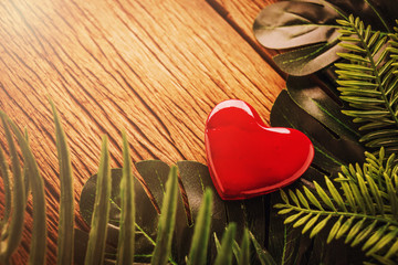 red heart shape object with green tropical leaf frame with wooden texture floor