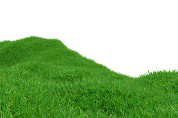 Green grass hill isolated on white background. Natural background. Outdoor abstract background. 3d rendering