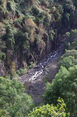 A small waterfall in Madeira