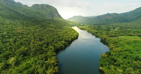 Wall murals River Aerial view of river in tropical green forest with mountains in background