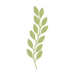 cute leafs decorative icon vector illustration design