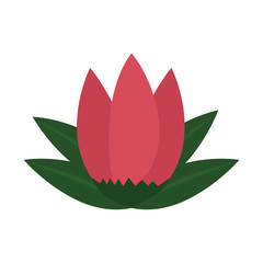 flower and leafs floral decoration vector illustration design