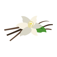 Beautiful flower isolated icon vector illustration graphic design