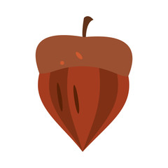 Nut food symbol icon vector illustration graphic design